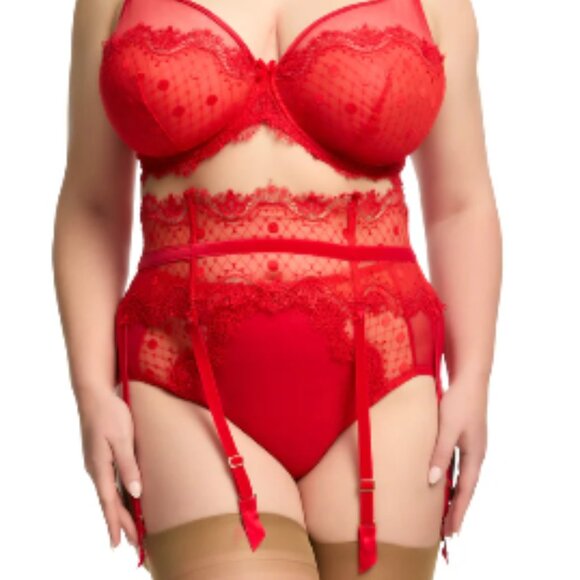 Dita Von Teese Vedette en Flamme Red Curve suspender garter belt lace NWT sz 4X - Picture 1 of 1